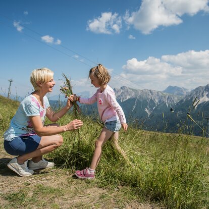 dolomites tourist office