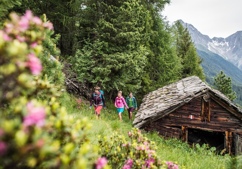 Escursione in montagna | © Wisthaler Harald