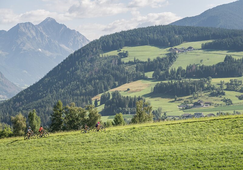 Eine vierköpfige Familie fährt eine Bergstraße entlang, im Hintergrund eine Wiese, Wälder, Berge und blauer Himmel. | © Harald Wisthaler