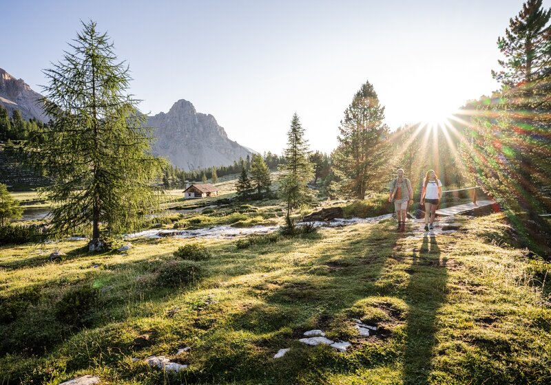 Zwei Personen wandern durch eine offene, grüne Lichtung mit langen Schatten und Blick auf gezackte Berggipfel. | © Harald Wisthaler