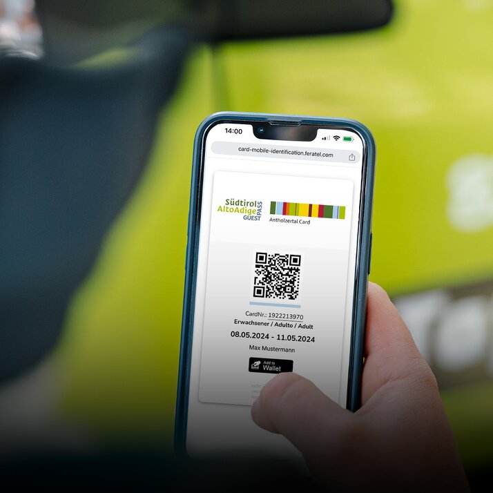 Eine Hand hält ein Handy auf dem der Südtirolpass angezeigt ist. | © Josef Plaickner