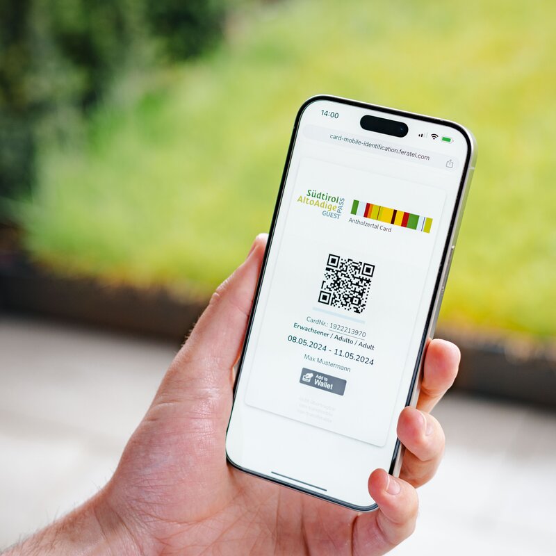 Eine Hand hält ein Handy auf dem der Südtirolpass angezeigt ist. | © Josef Plaickner