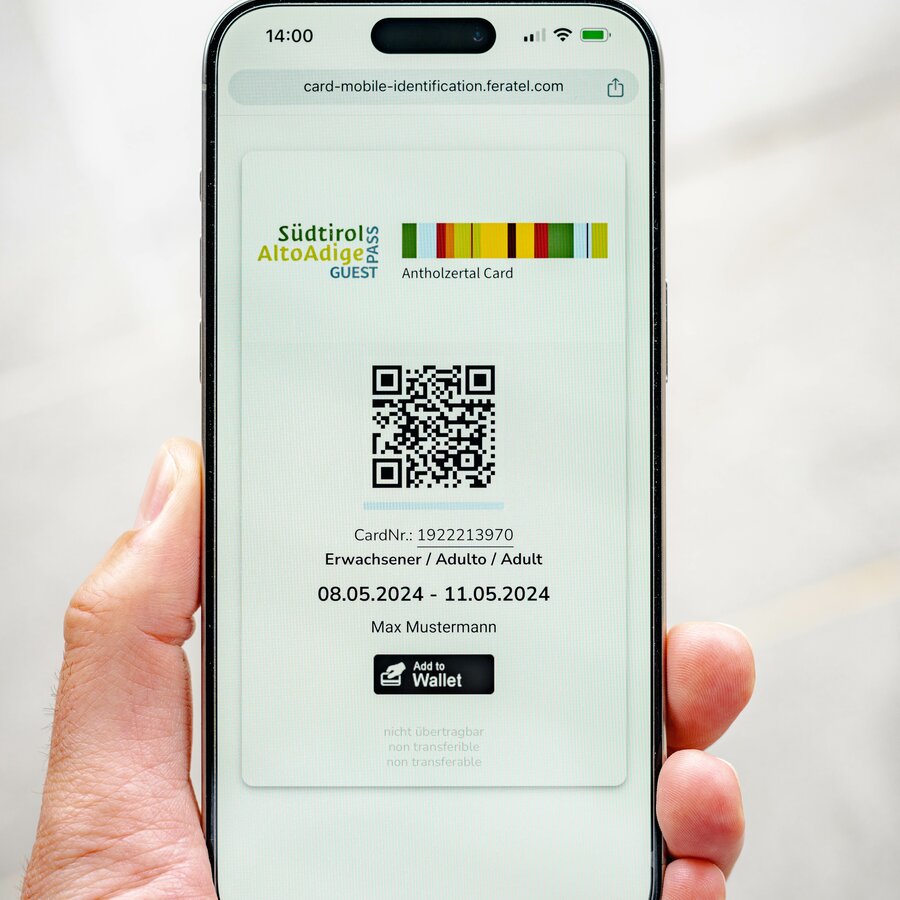 Eine Hand hält ein Handy auf dem der Südtirolpass angezeigt ist. | © Josef Plaickner