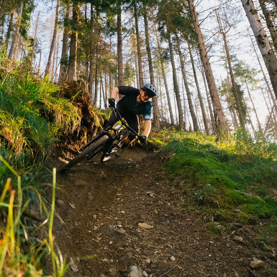 Ein Mountainbiker fährt einen steilen, kurvigen Trail durch einen sonnendurchfluteten Wald hinab. | © Daniel Niederkofler