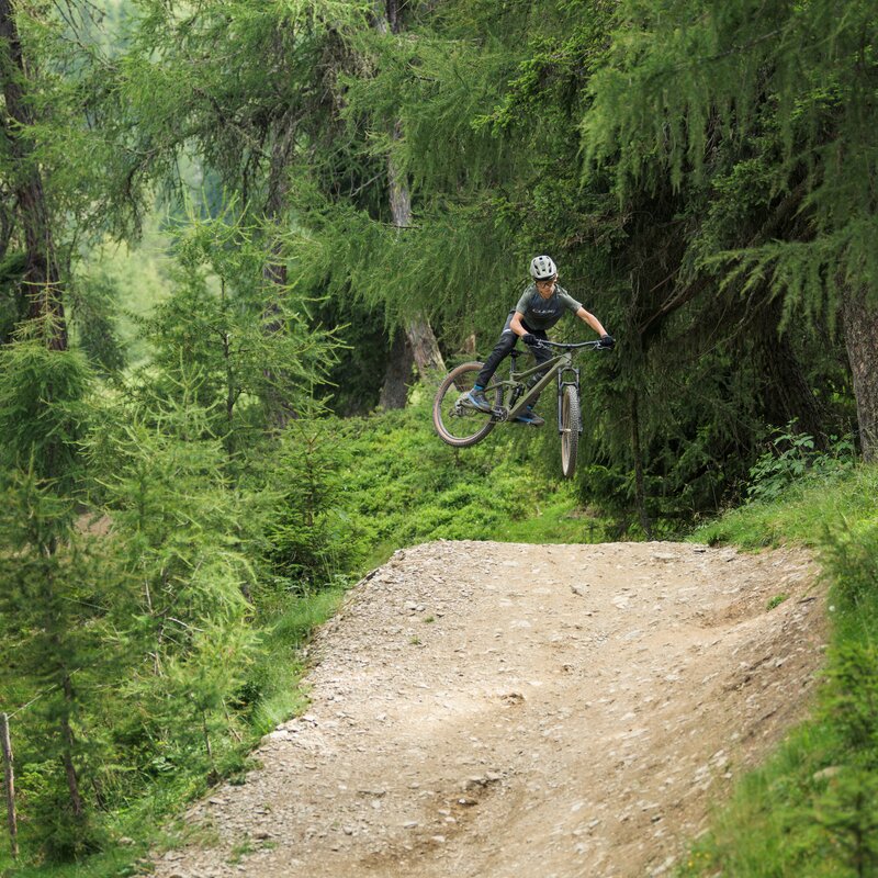 Ein Mountainbiker springt auf einem Waldweg über eine kleine Erhebung mitten im Grünen. | © Cube