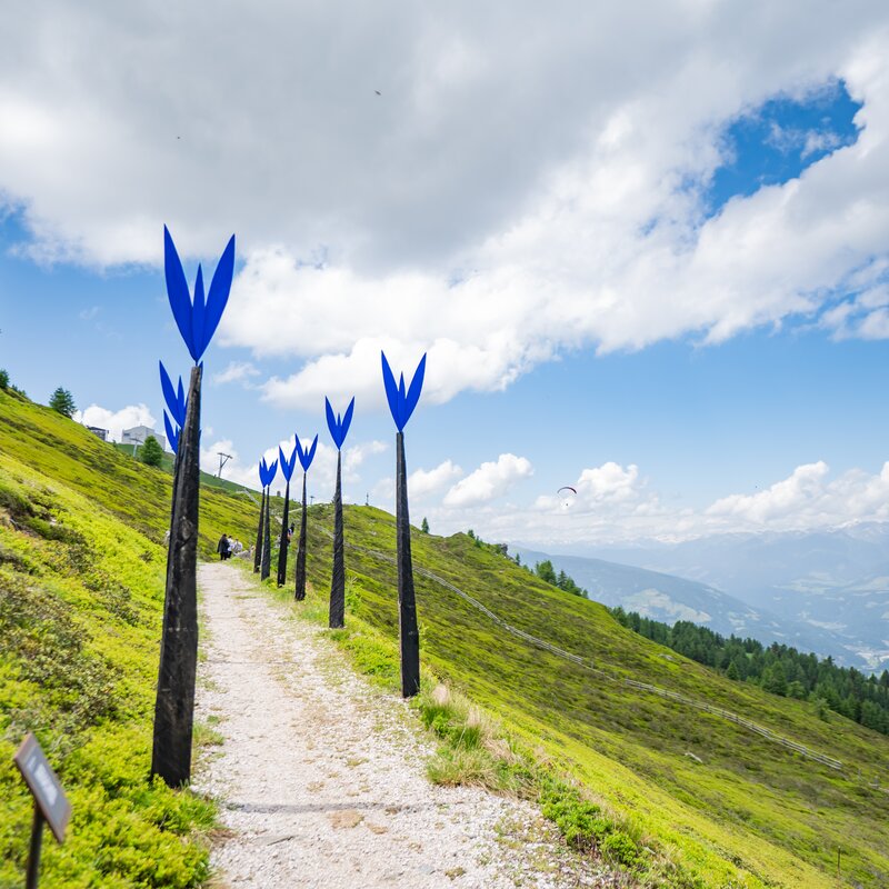 Ein Bergweg, an dessen Seiten riesige künstliche blaue Blumen aufgestellt sind, vor dem Hintergrund des leicht bewölkten Himmels. | © Gianvito Coco