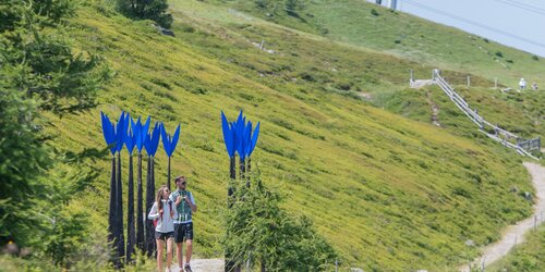 Zwei Menschen wandern durch  einen Pfad mit künstlichen übergroßen blauen Blumen unterhalb der Bergstation. | © Gianvito Coco